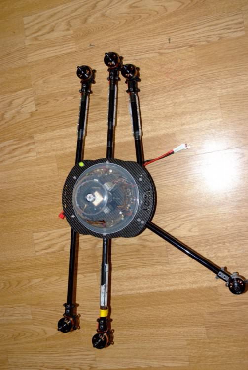 Tayoutroy - 1.jpg
