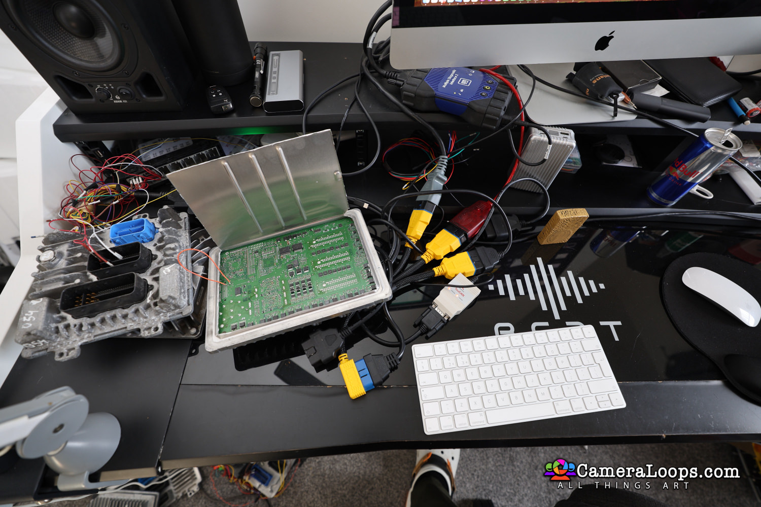 R6_24548.jpg