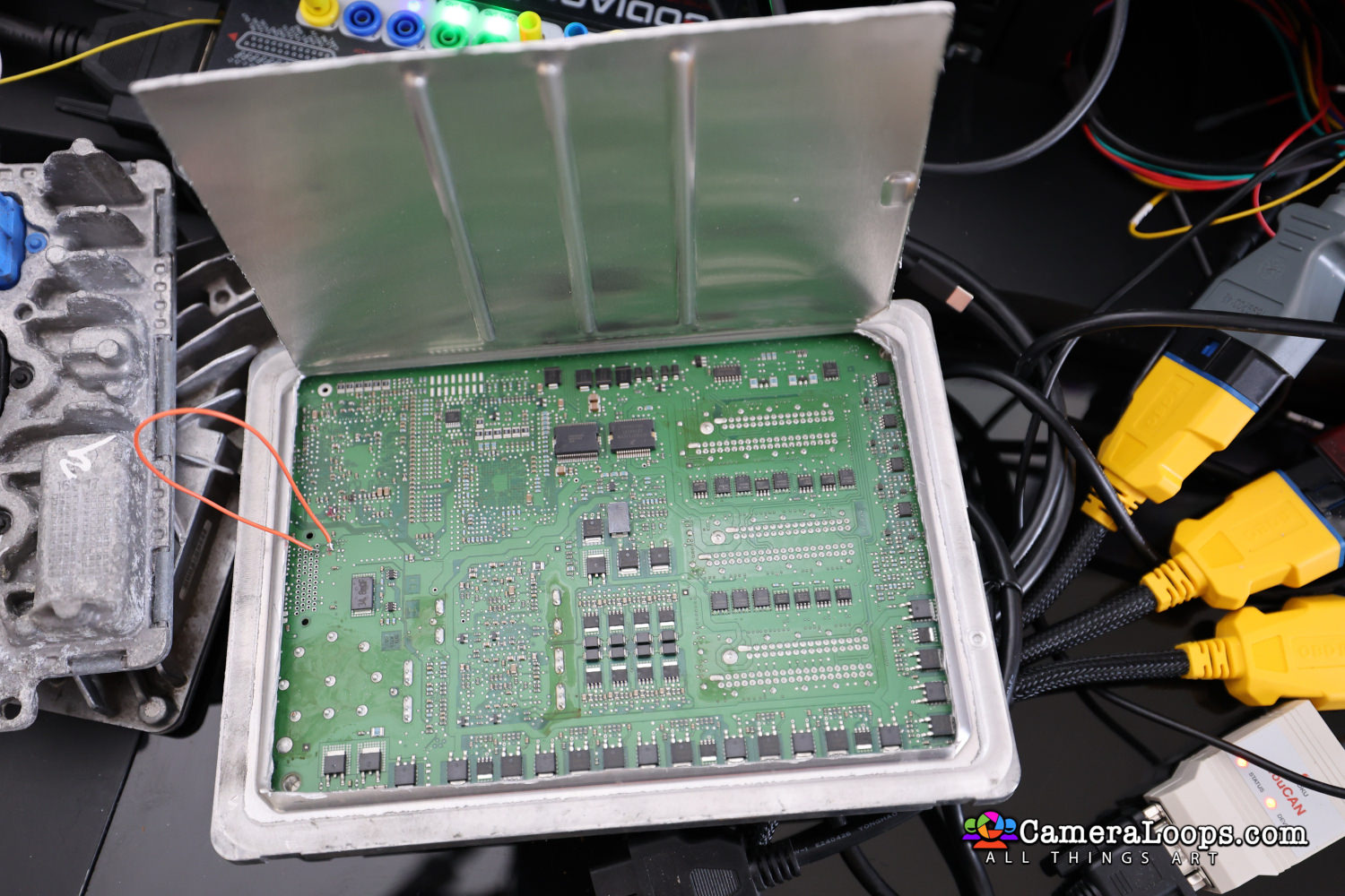 R6_24557.jpg