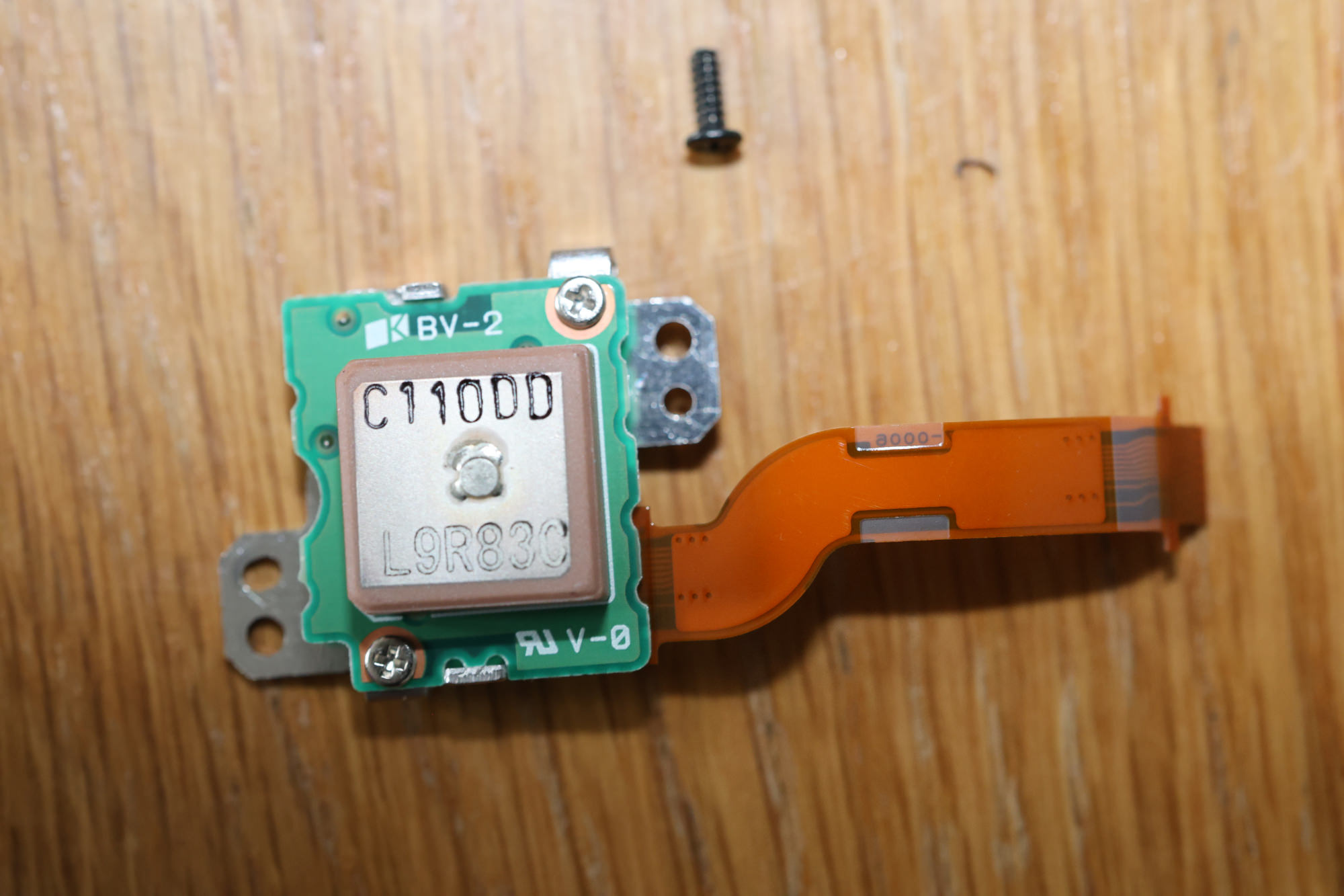 R6_25743.JPG