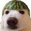 thiaguera